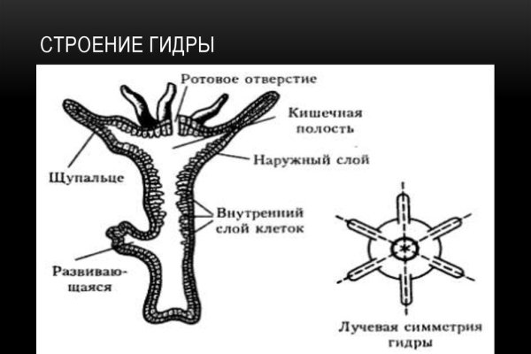 Vk8 at кракен