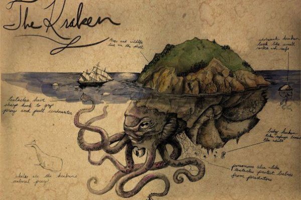 Как вывести деньги с kraken