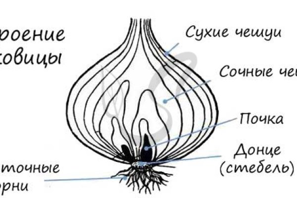 Кракен сайт kr2web in