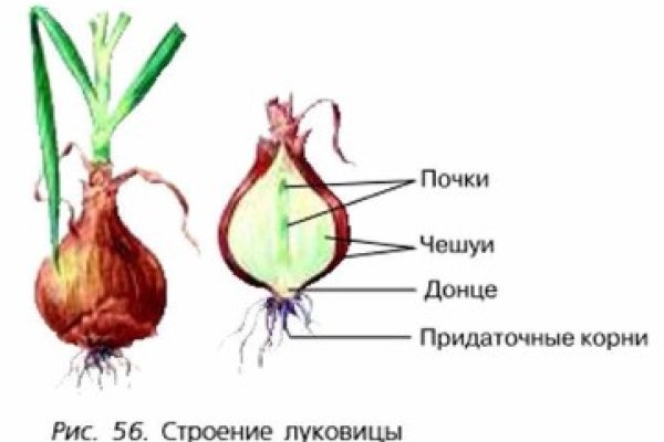 Кракен ссылка зайти